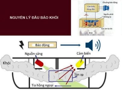 Nguyên lý hoạt động