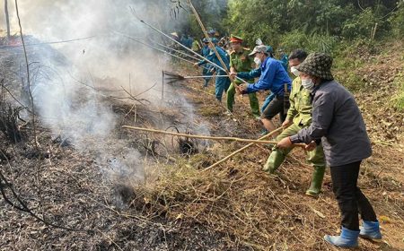 Chữa cháy rừng đối với các đám cháy nhỏ